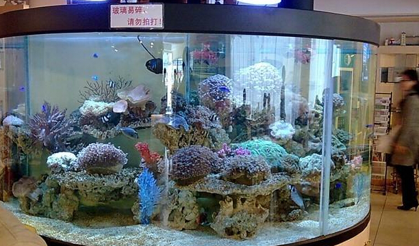 QQ截图20141104142007